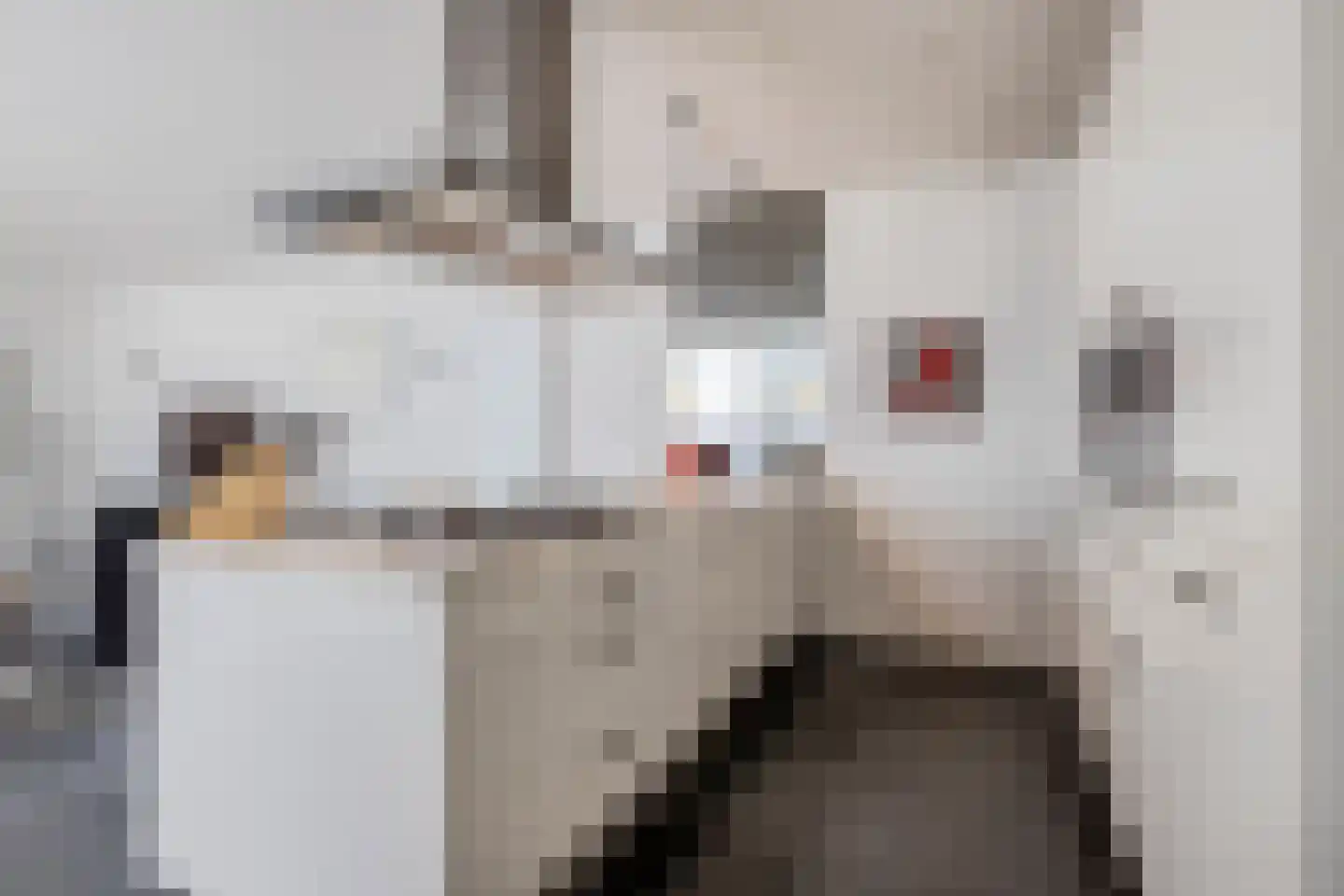 Atalantahof 29 Oosterhout thumbnail 13