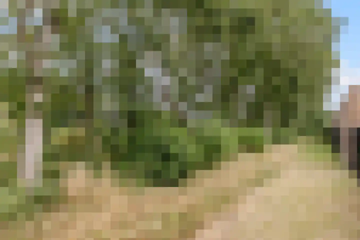 Atalantahof 29 Oosterhout thumbnail 28