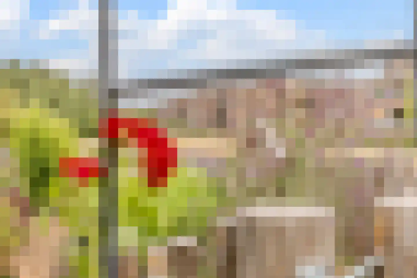 Atalantahof 29 Oosterhout thumbnail 29