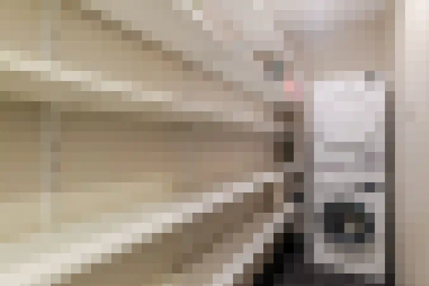 Atalantahof 36 Utrecht thumbnail 46