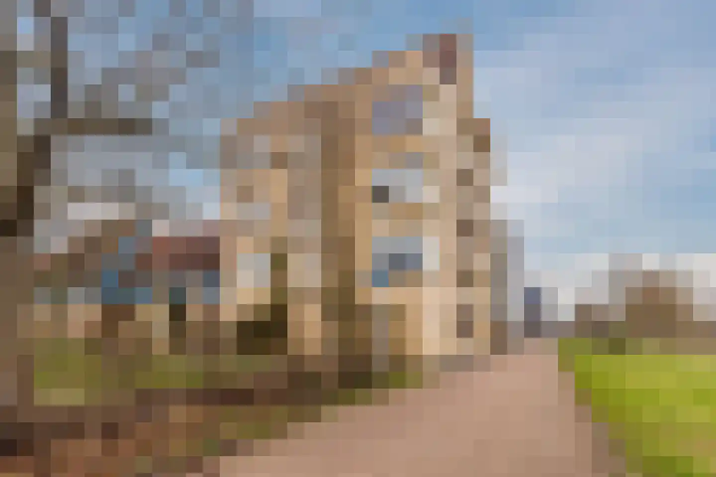 Atalantahof 36 Utrecht thumbnail 50