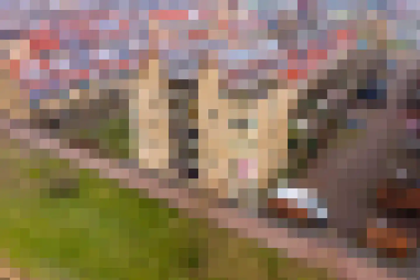 Atalantahof 36 Utrecht thumbnail 66