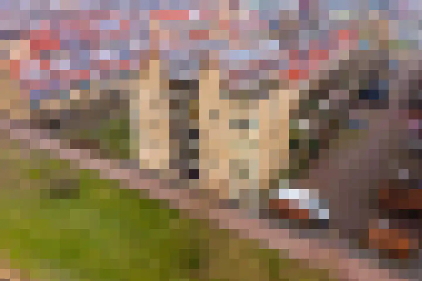 Atalantahof 36 Utrecht thumbnail 67