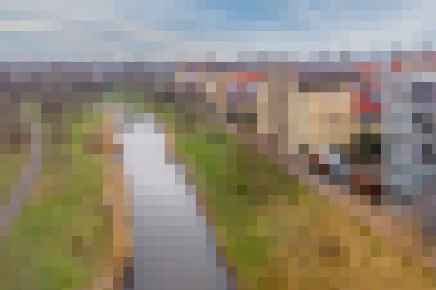 Atalantahof 36 Utrecht thumbnail 72