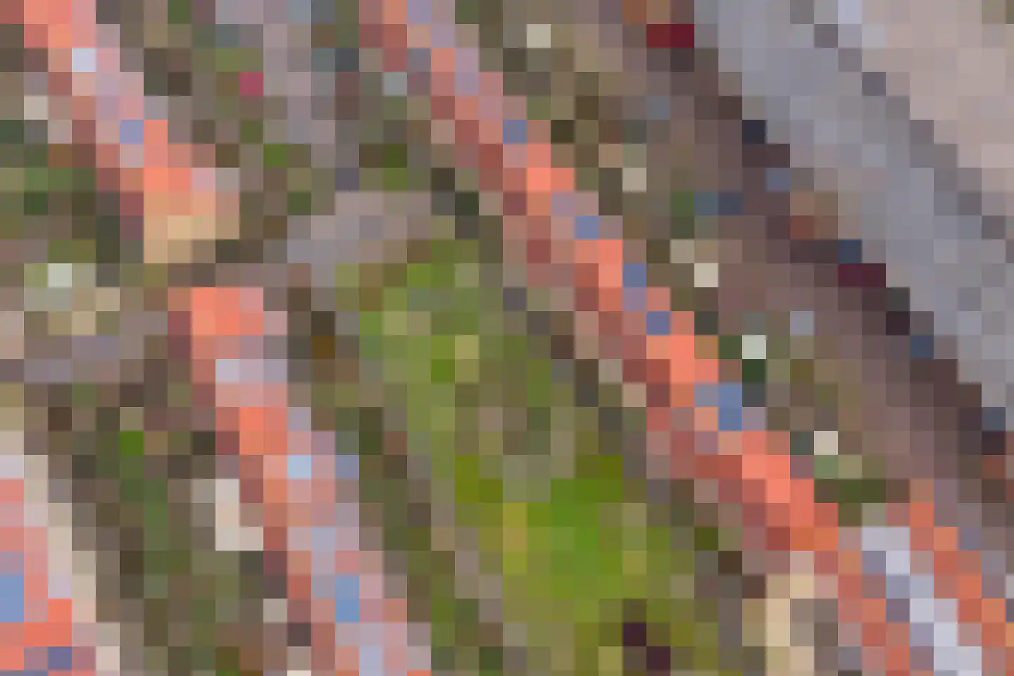 Atalantahof 36 Utrecht thumbnail 74