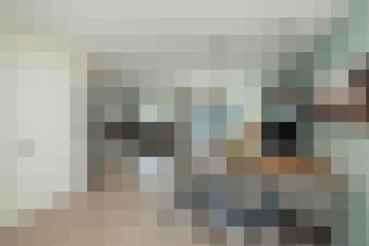 Atalantahof 37 Schiedam thumbnail 15