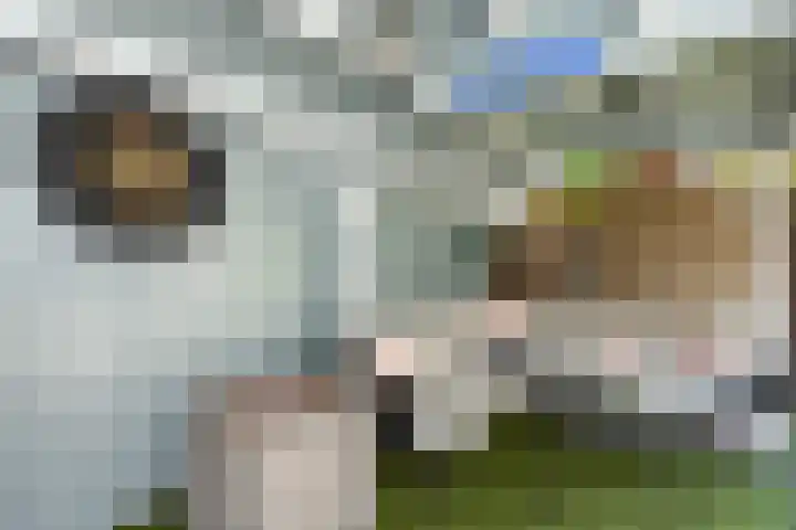 Atalantahof 37 Schiedam thumbnail 21