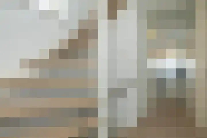 Atalantahof 37 Schiedam thumbnail 24