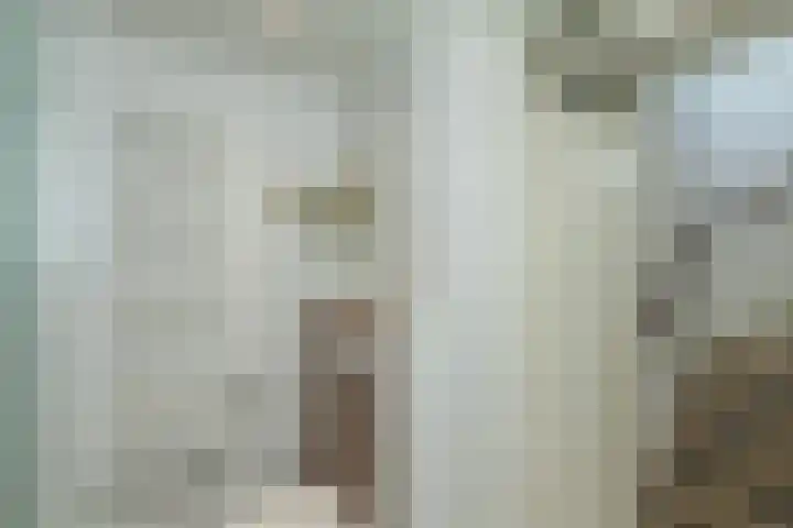 Atalantahof 37 Schiedam thumbnail 32