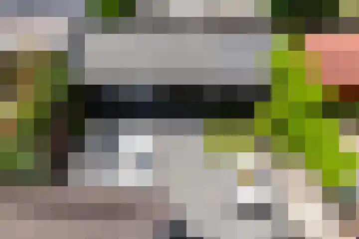 Atalantahof 37 Schiedam thumbnail 45