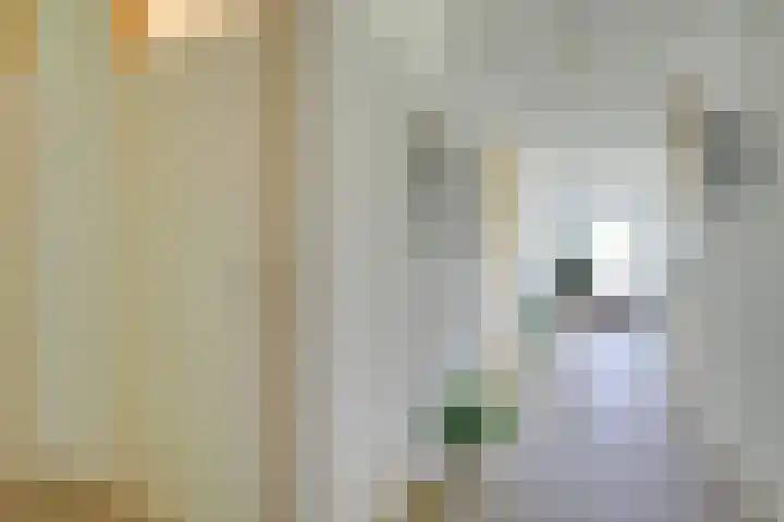 Atalantahof 38 Utrecht thumbnail 25