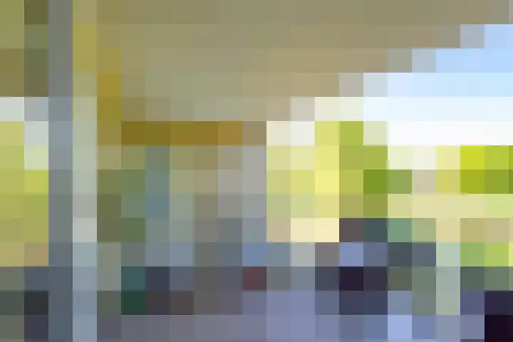 Atalantahof 38 Utrecht thumbnail 28