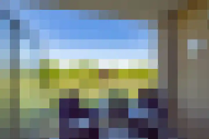 Atalantahof 38 Utrecht thumbnail 29