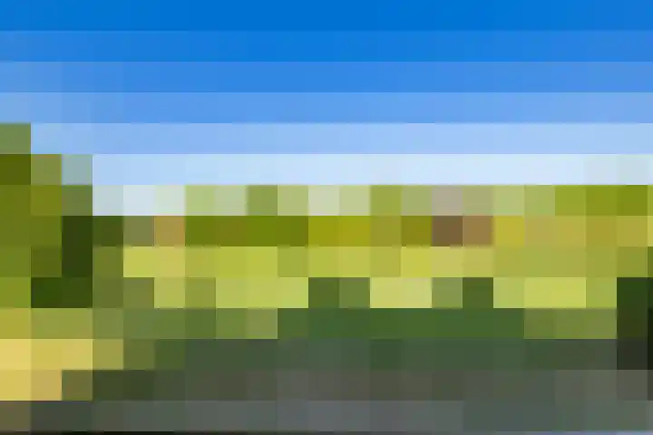 Atalantahof 38 Utrecht thumbnail 30