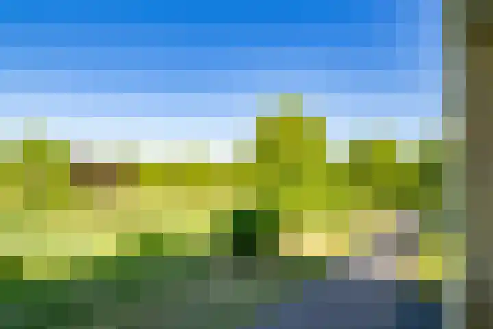 Atalantahof 38 Utrecht thumbnail 31
