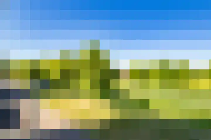 Atalantahof 38 Utrecht thumbnail 32