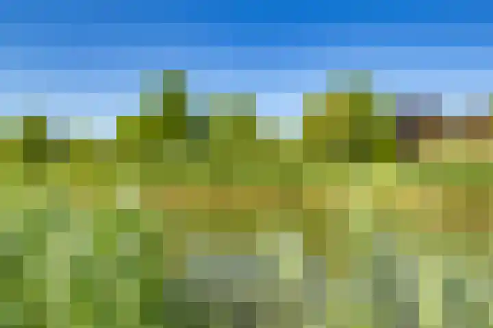 Atalantahof 38 Utrecht thumbnail 33