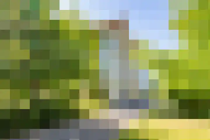 Atalantahof 38 Utrecht thumbnail 34