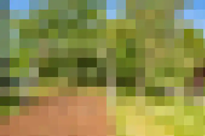Atalantahof 38 Utrecht thumbnail 36
