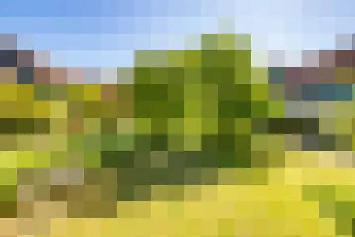 Atalantahof 38 Utrecht thumbnail 37
