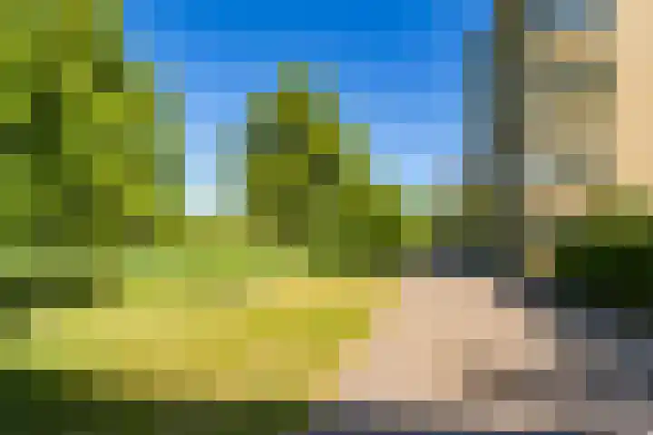 Atalantahof 38 Utrecht thumbnail 39