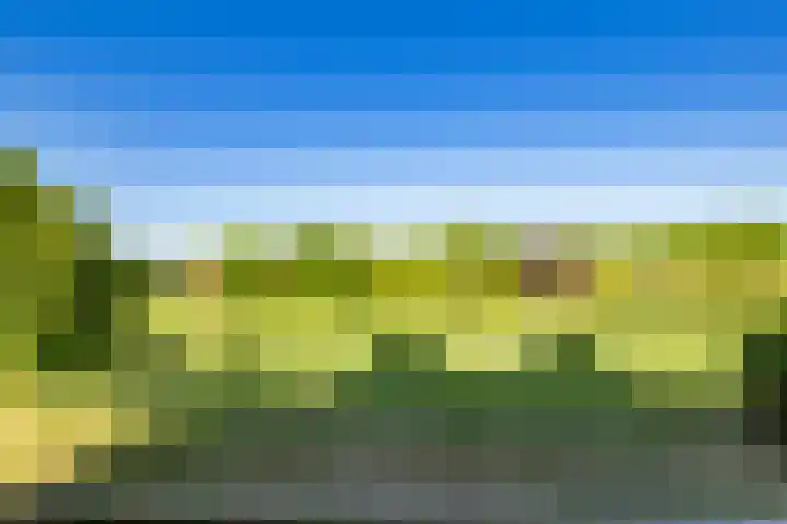 Atalantahof 38 Utrecht thumbnail 4