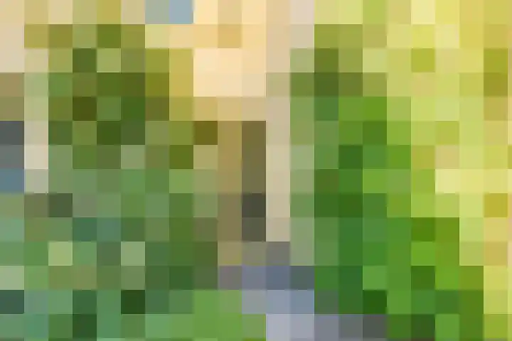 Atalantahof 38 Utrecht thumbnail 40