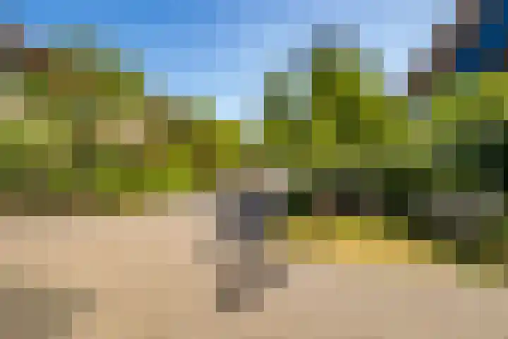Atalantahof 38 Utrecht thumbnail 41