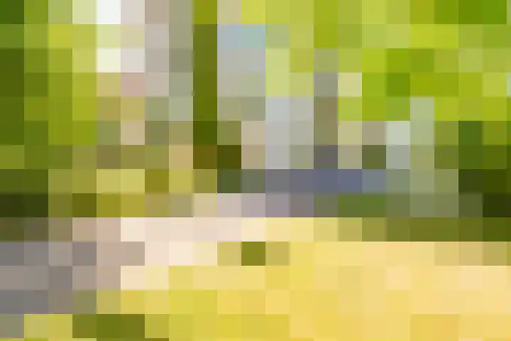 Atalantahof 38 Utrecht thumbnail 42