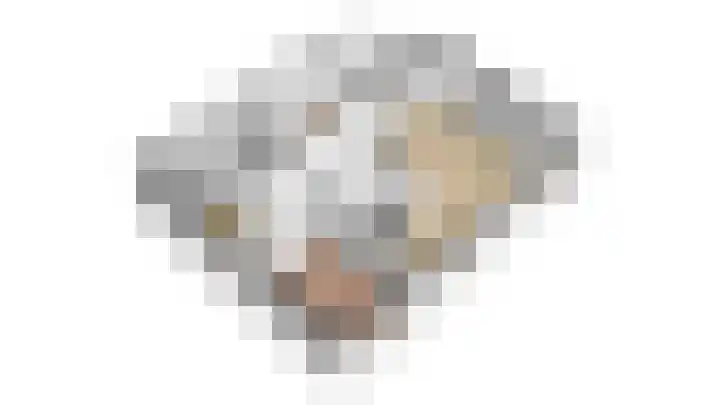 Atalantahof 38 Utrecht thumbnail 45