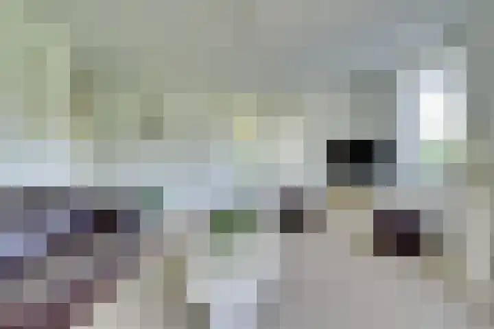 Atalantahof 38 Utrecht thumbnail 9