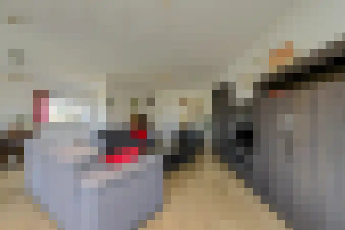 Atalantahof 49 Oosterhout thumbnail 20