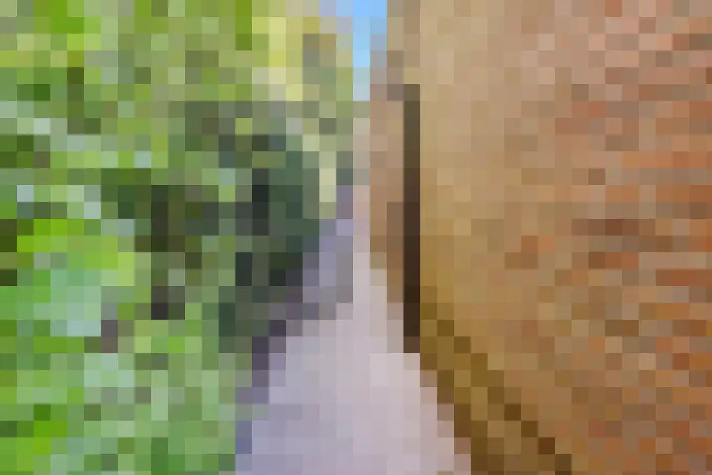 Atalantahof 9 Oosterhout thumbnail 25