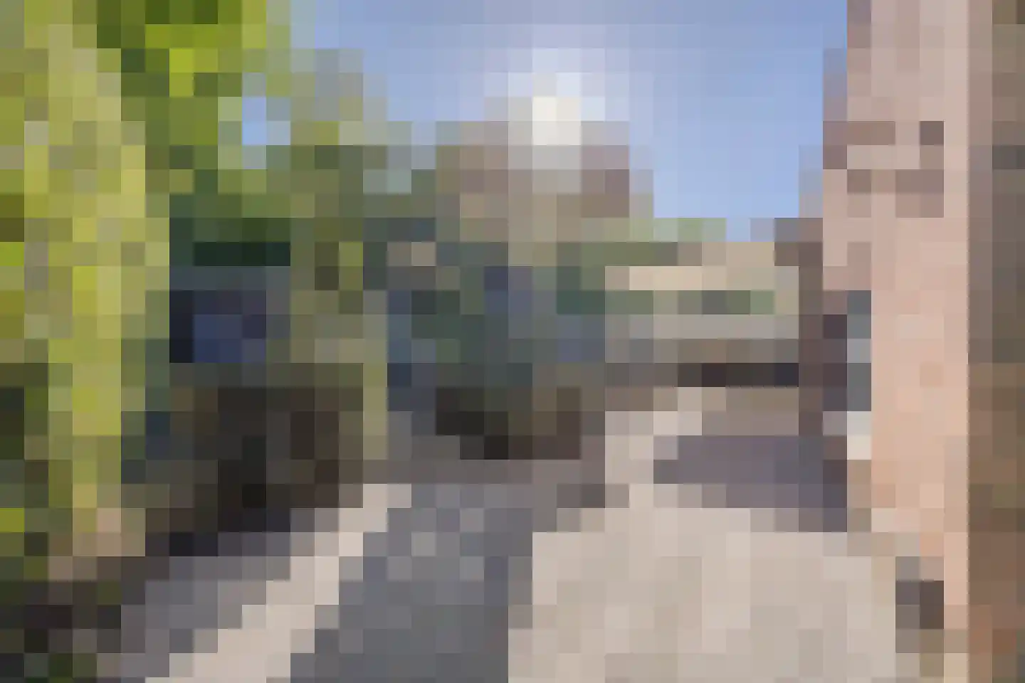 Atalantahof 9 Oosterhout thumbnail 26