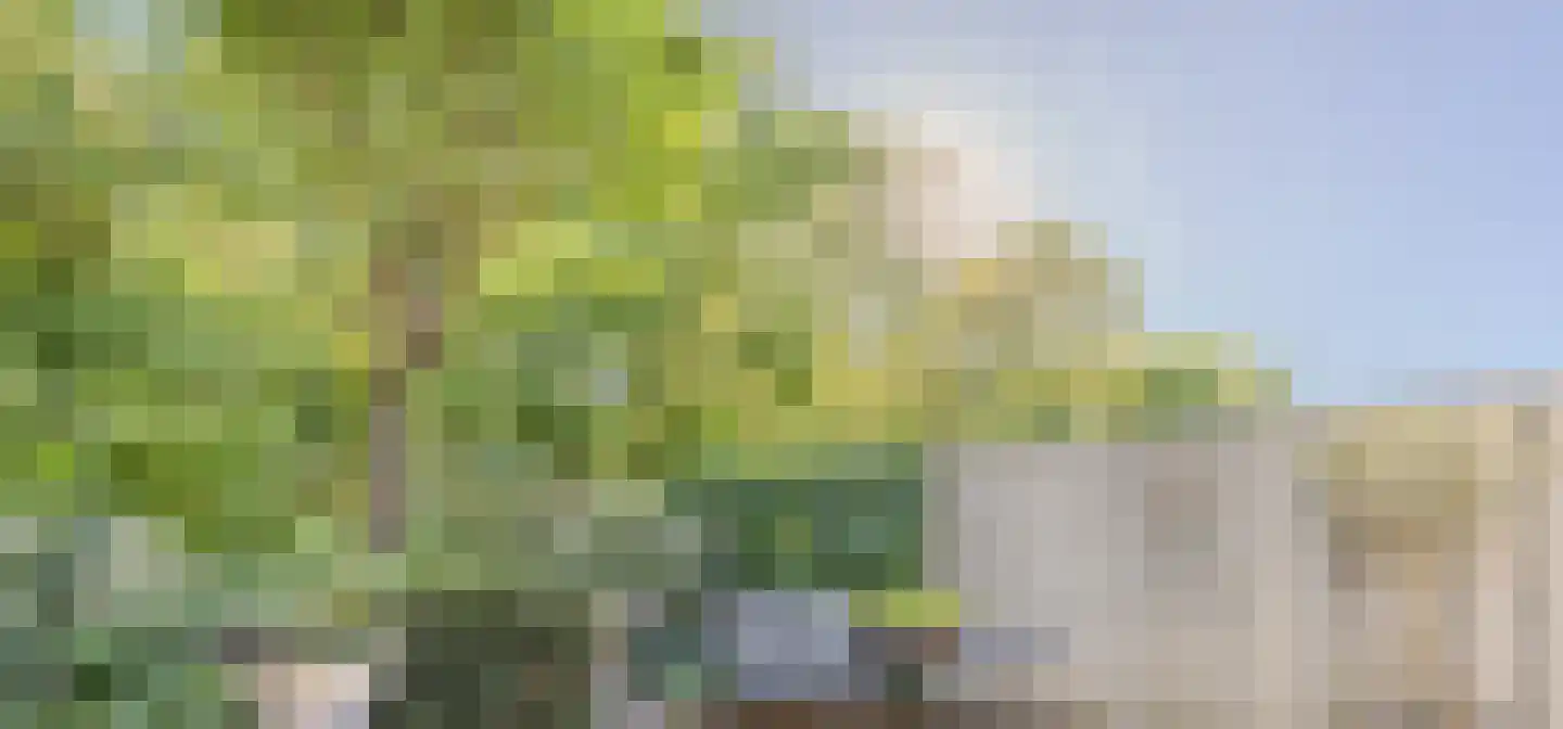Atalantahof 9 Oosterhout thumbnail 29
