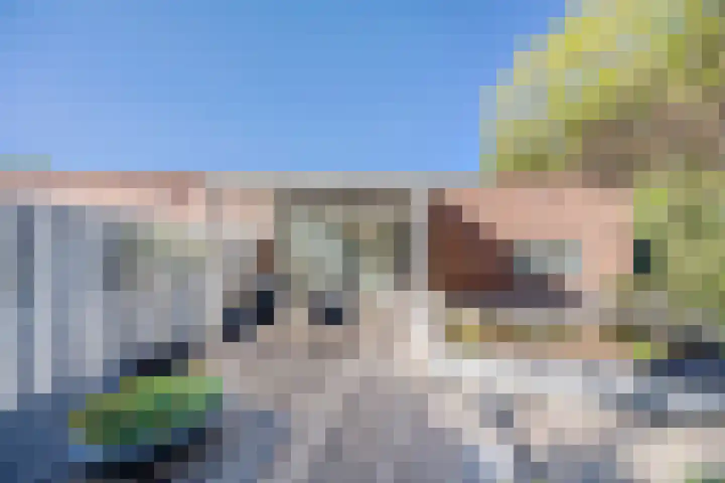 Atalantahof 9 Oosterhout thumbnail 30