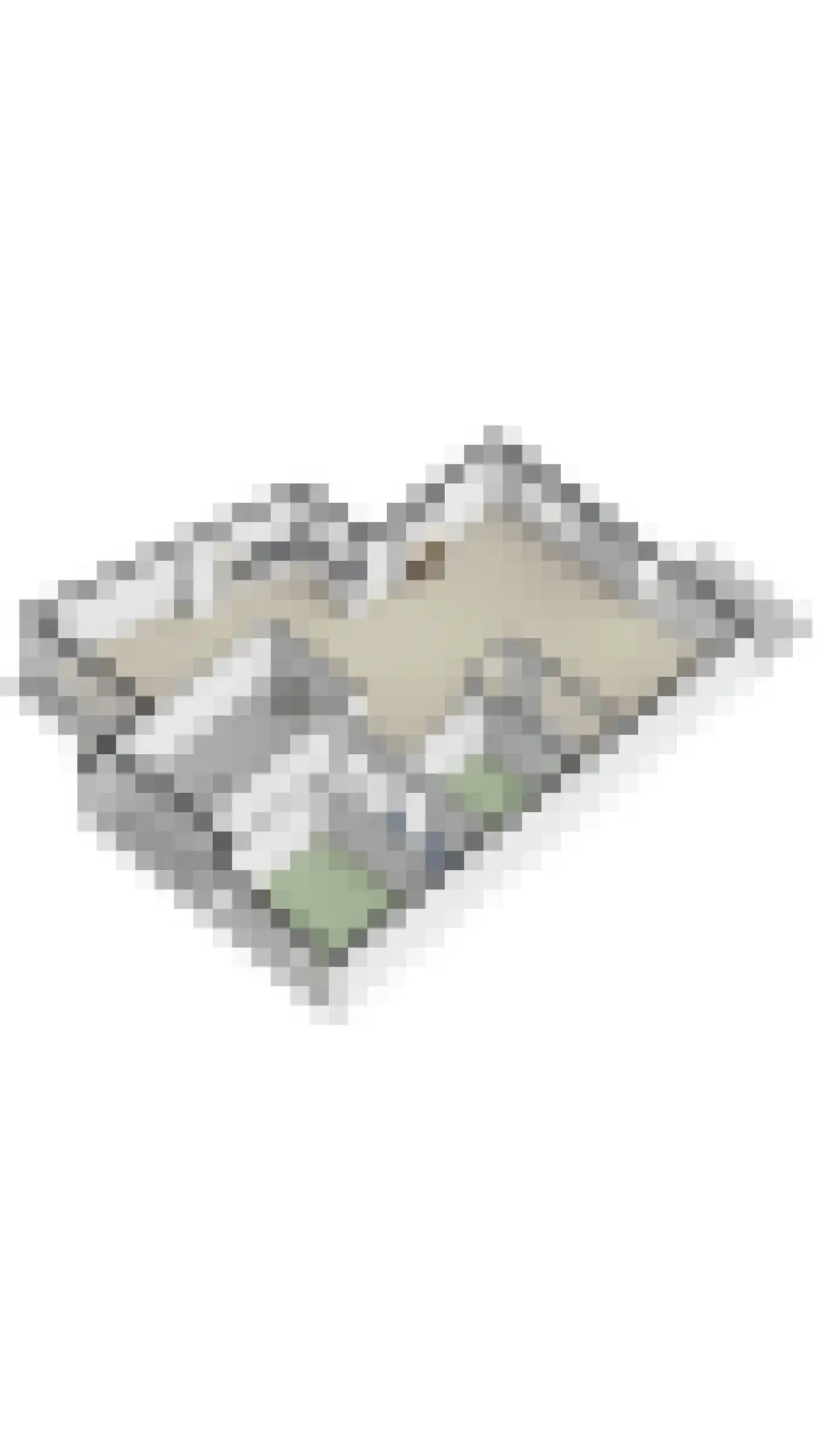 Atalantahof 9 Oosterhout thumbnail 39