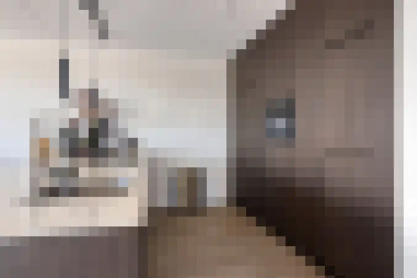 Atalantalaan 1 Middelburg thumbnail 10