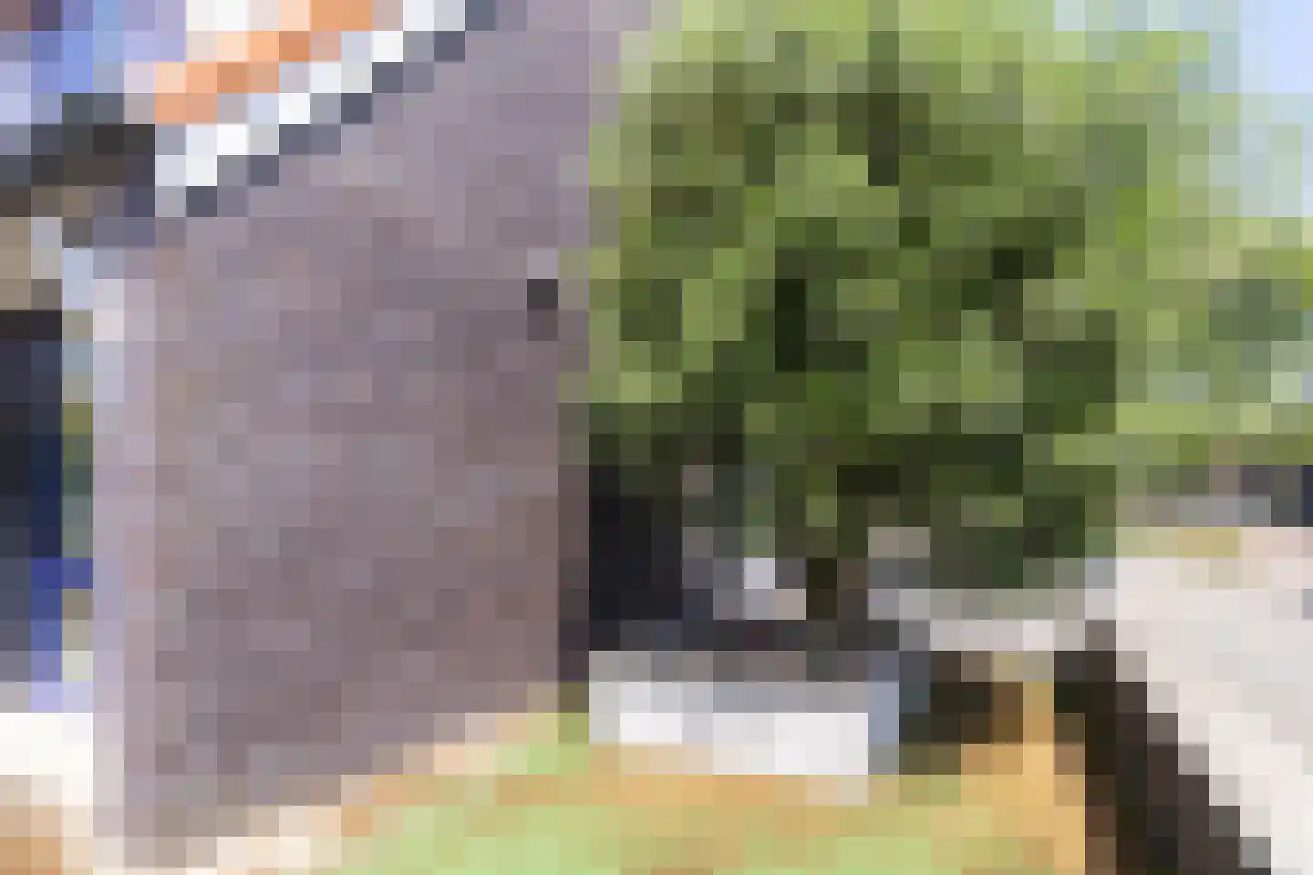 Atalantalaan 11 Aalsmeer thumbnail 37