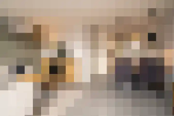 Atalantalaan 15 Enschede thumbnail 10