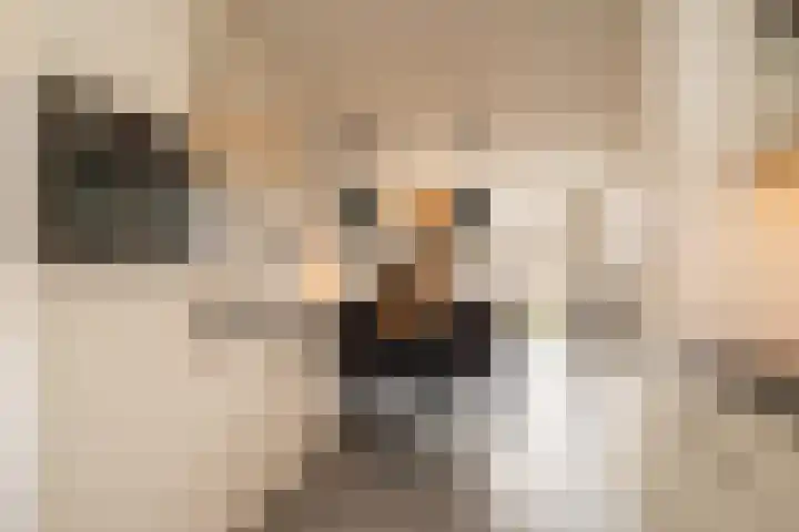 Atalantalaan 15 Enschede thumbnail 14