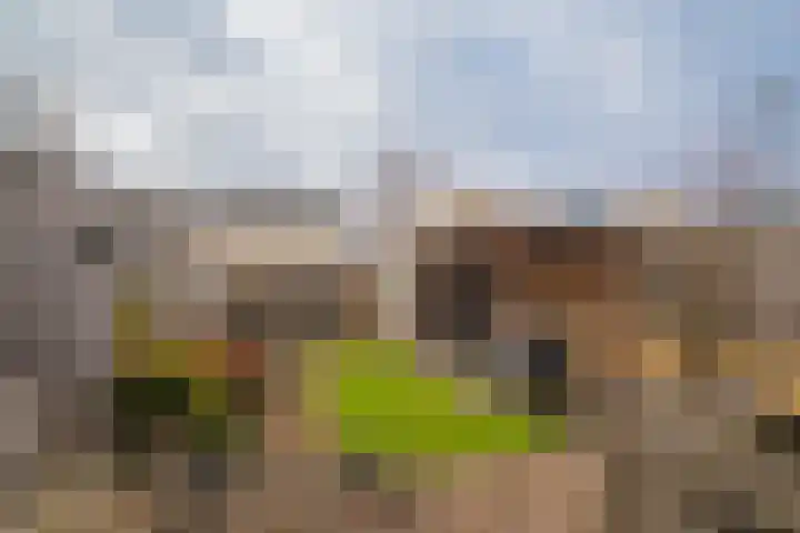 Atalantalaan 15 Enschede thumbnail 28