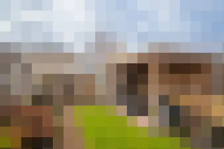 Atalantalaan 15 Enschede thumbnail 29
