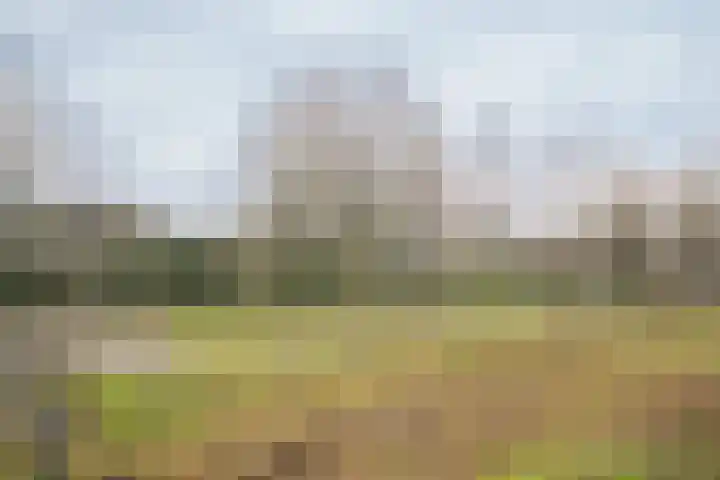 Atalantalaan 15 Enschede thumbnail 33