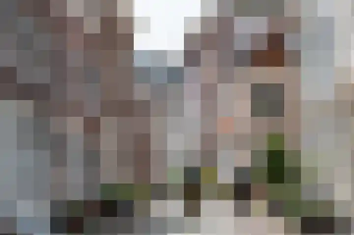 Atalantalaan 21 Middelburg thumbnail 10