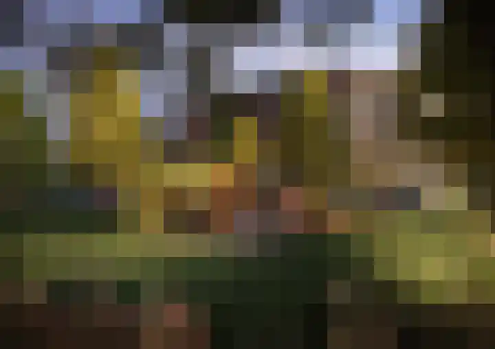Atalantalaan 21 Middelburg thumbnail 4