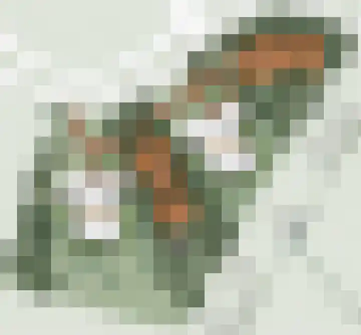 Atalantalaan 23 Middelburg thumbnail 6