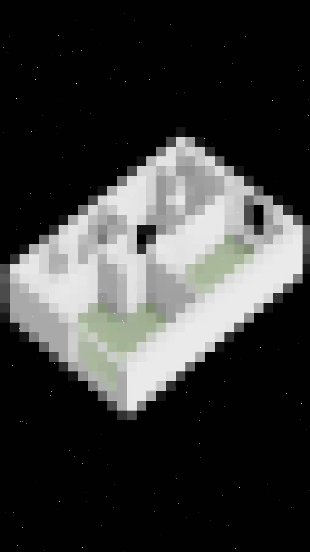 Atalantalaan 269 Middelburg thumbnail 68