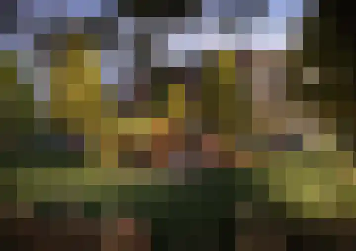 Atalantalaan 27 Middelburg thumbnail 7