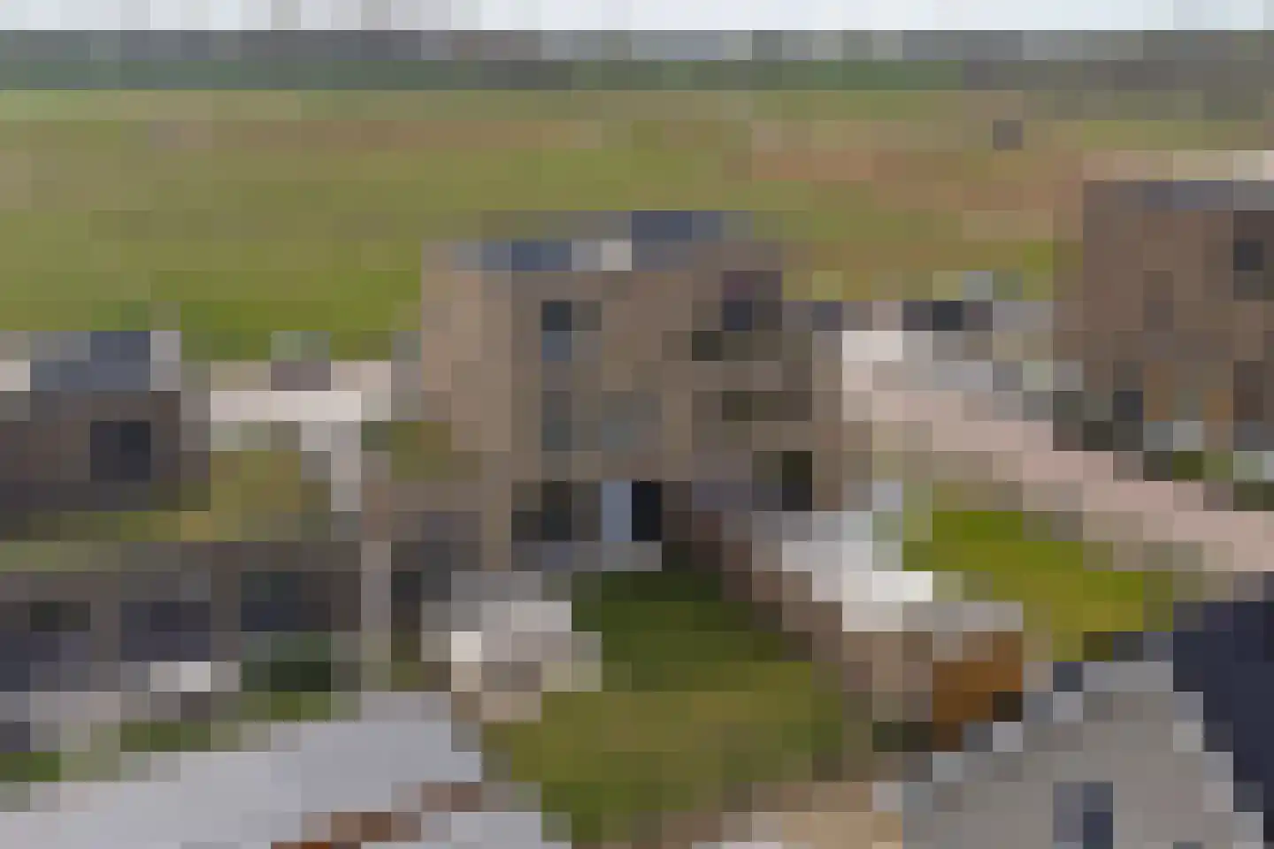 Atalantalaan 279 Middelburg thumbnail 37